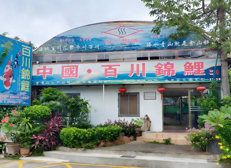 百川锦鲤
