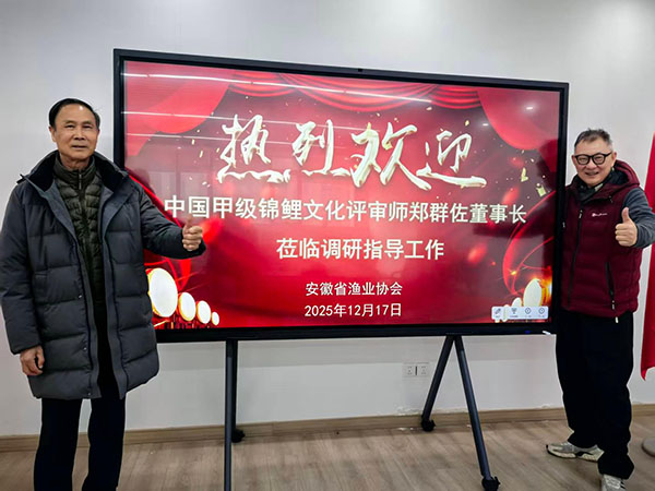 郑群佐：二十余载锦鲤缘，他把一条鱼游成了文化